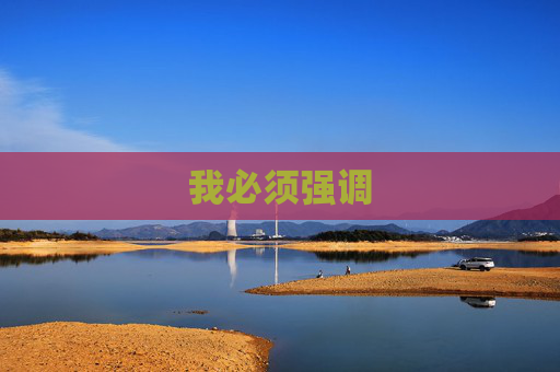 我必须强调 我必须强调