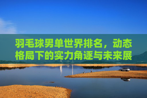 羽毛球男单世界排名,动态格局下的实力角逐与未来展望 羽毛球男单世界排名,动态格局下的实力角逐与未来展望