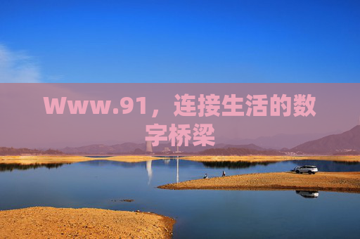 Www.91,连接生活的数字桥梁 Www.91,连接生活的数字桥梁