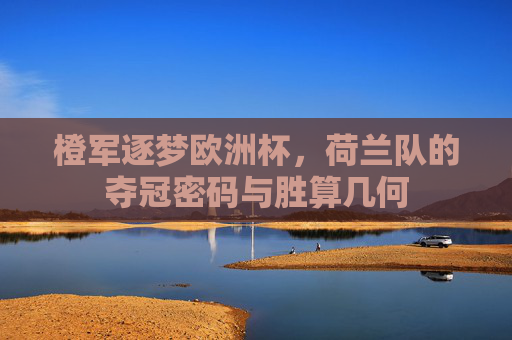 橙军逐梦欧洲杯,荷兰队的夺冠密码与胜算几何 橙军逐梦欧洲杯,荷兰队的夺冠密码与胜算几何