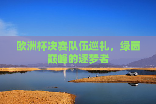 欧洲杯决赛队伍巡礼,绿茵巅峰的逐梦者 欧洲杯决赛队伍巡礼,绿茵巅峰的逐梦者