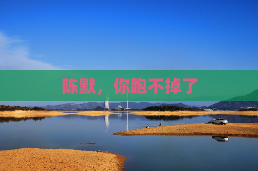 陈默,你跑不掉了 陈默,你跑不掉了