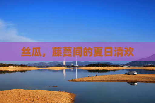 丝瓜，藤蔓间的夏日清欢
