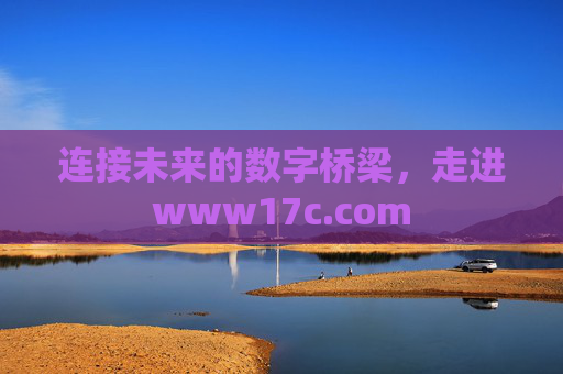 连接未来的数字桥梁，走进www17c.com