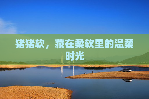 猪猪软,藏在柔软里的温柔时光 猪猪软,藏在柔软里的温柔时光