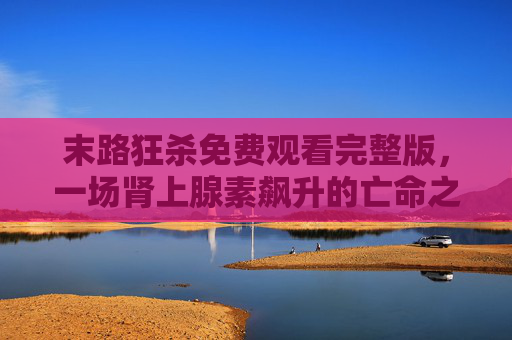 末路狂杀免费观看完整版，一场肾上腺素飙升的亡命之旅