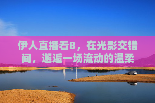 伊人直播看B,在光影交错间,邂逅一场流动的温柔 伊人直播看B,在光影交错间,邂逅一场流动的温柔