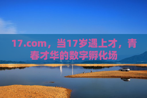17.com，当17岁遇上才，青春才华的数字孵化场