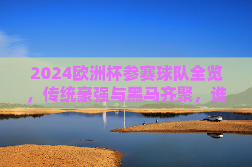 2024欧洲杯参赛球队全览，传统豪强与黑马齐聚，谁将捧起德劳内杯？