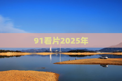 91看片2025年