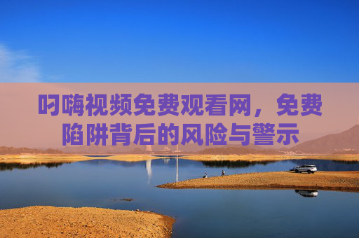 叼嗨视频免费观看网，免费陷阱背后的风险与警示