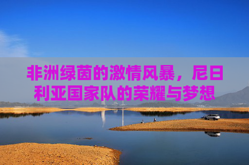 非洲绿茵的激情风暴,尼日利亚国家队的荣耀与梦想 非洲绿茵的激情风暴,尼日利亚国家队的荣耀与梦想
