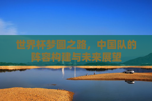 世界杯梦圆之路,中国队的阵容构建与未来展望 世界杯梦圆之路,中国队的阵容构建与未来展望