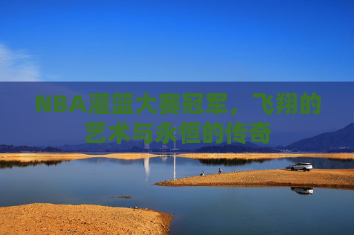 NBA灌篮大赛冠军,飞翔的艺术与永恒的传奇 NBA灌篮大赛冠军,飞翔的艺术与永恒的传奇