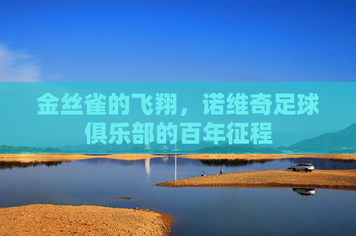 金丝雀的飞翔，诺维奇足球俱乐部的百年征程