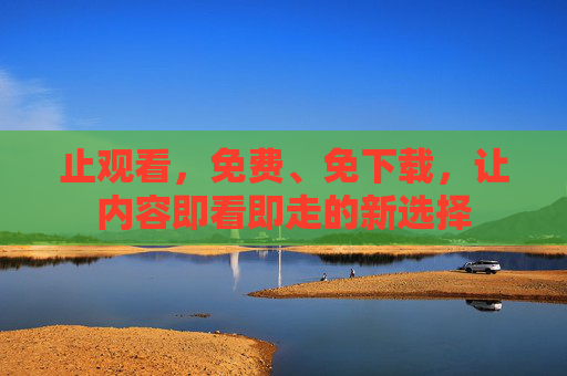 止观看,免费、免下载,让内容即看即走的新选择 止观看,免费、免下载,让内容即看即走的新选择