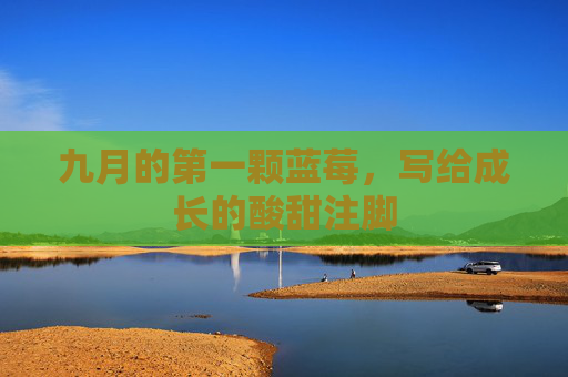 九月的第一颗蓝莓，写给成长的酸甜注脚
