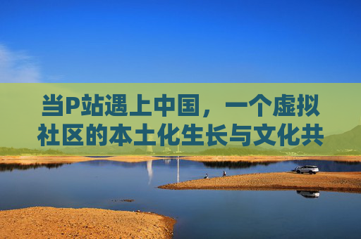 当P站遇上中国,一个虚拟社区的本土化生长与文化共振 当P站遇上中国,一个虚拟社区的本土化生长与文化共振