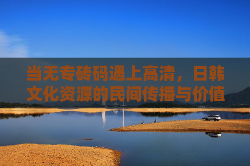 当无专砖码遇上高清,日韩文化资源的民间传播与价值重构 当无专砖码遇上高清,日韩文化资源的民间传播与价值重构