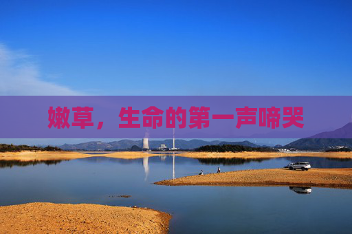嫩草,生命的第一声啼哭 嫩草,生命的第一声啼哭