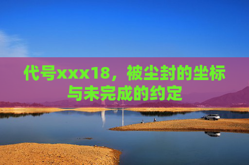 代号xxx18,被尘封的坐标与未完成的约定 代号xxx18,被尘封的坐标与未完成的约定