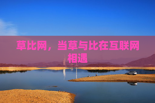 草比网，当草与比在互联网相遇