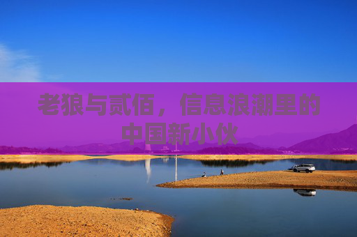 老狼与贰佰，信息浪潮里的中国新小伙
