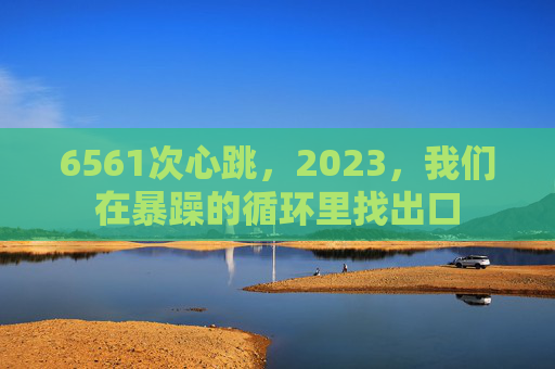 6561次心跳，2023，我们在暴躁的循环里找出口