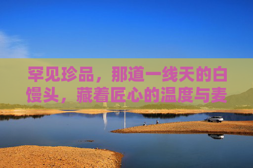 罕见珍品,那道一线天的白馒头,藏着匠心的温度与麦香的纯粹 罕见珍品,那道一线天的白馒头,藏着匠心的温度与麦香的纯粹
