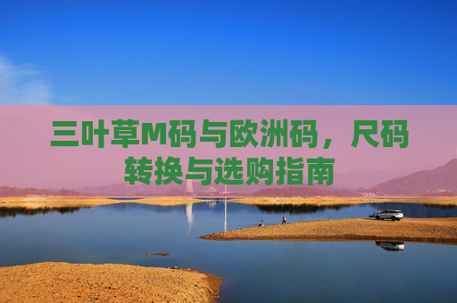 三叶草M码与欧洲码,尺码转换与选购指南 三叶草M码与欧洲码,尺码转换与选购指南