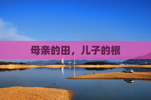 母亲的田，儿子的根