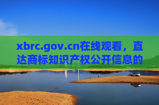 xbrc.gov.cn在线观看，直达商标知识产权公开信息的权威通道
