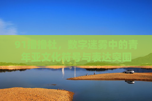 91撸撸杜,数字迷雾中的青年亚文化符号与表达突围 91撸撸杜,数字迷雾中的青年亚文化符号与表达突围