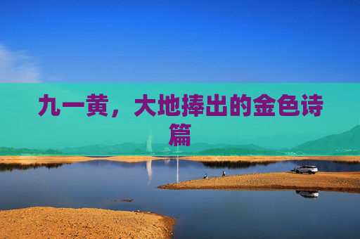 九一黄,大地捧出的金色诗篇 九一黄,大地捧出的金色诗篇