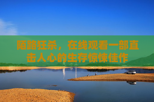 陌路狂杀，在线观看一部直击人心的生存惊悚佳作