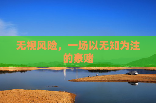 无视风险，一场以无知为注的豪赌