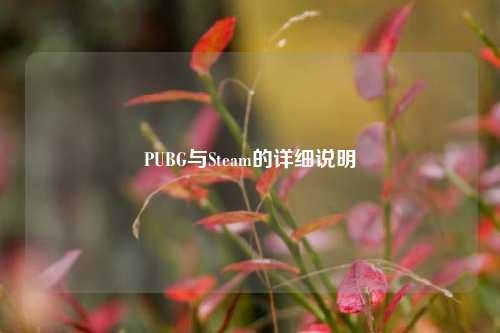 PUBG与Steam的详细说明