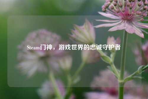 Steam门神，游戏世界的忠诚守护者