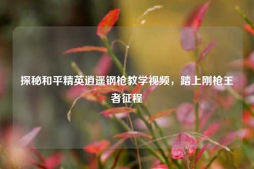 探秘和平精英逍遥钢枪教学视频，踏上刚枪王者征程