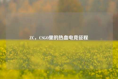 ZC，CSGO里的热血电竞征程