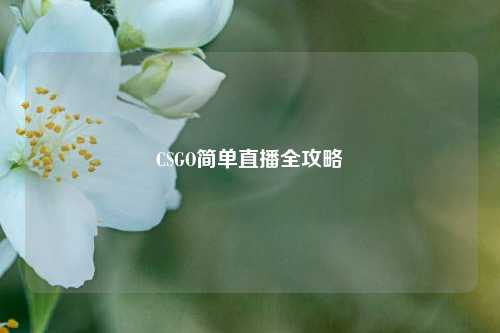 CSGO简单直播全攻略