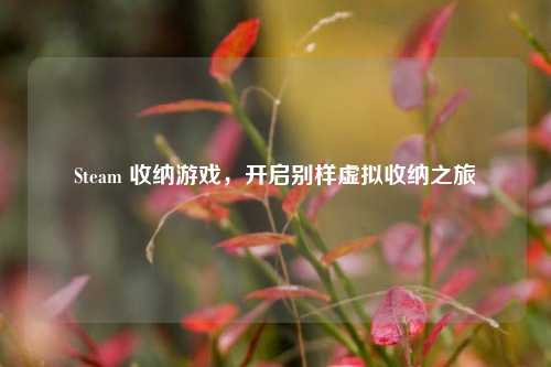 Steam 收纳游戏，开启别样虚拟收纳之旅