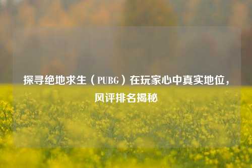 探寻绝地求生（PUBG）在玩家心中真实地位，风评排名揭秘