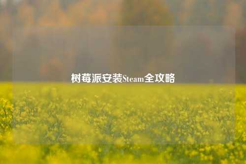 树莓派安装Steam全攻略