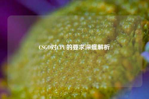 CSGO对CPU的要求深度解析