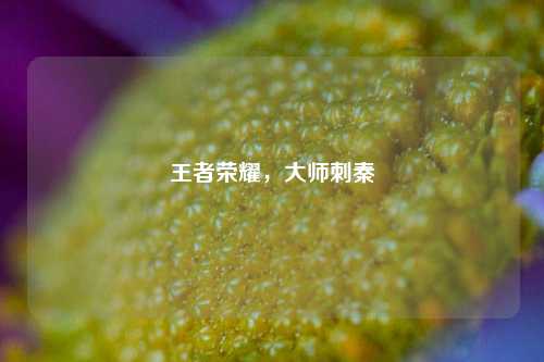 王者荣耀，***刺秦
