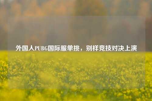 外国人PUBG国际服单挑，别样竞技对决上演
