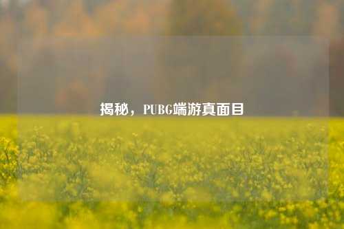 揭秘，PUBG端游真面目