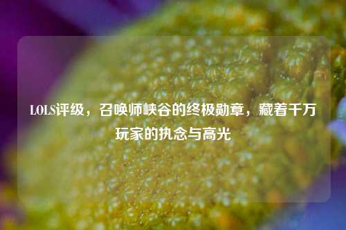LOLS评级，召唤师峡谷的终极勋章，藏着千万玩家的执念与高光