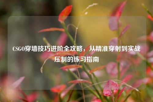 CSGO穿墙技巧进阶全攻略,从精准穿射到实战压制的练习指南